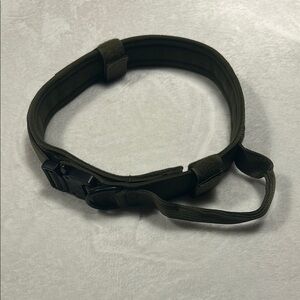 Green Adjustable Dog Collar